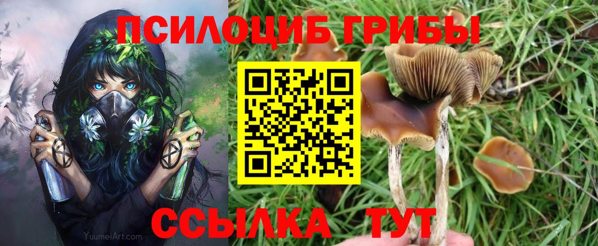 Галлюциногенные грибы Magic Shrooms Владивосток